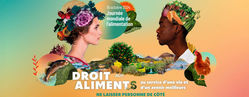 Journée Mondiale de l’Alimentation : le Collectif Défenseurs Plus tire la sonnette d’alarme sur la situation alimentaire dans le pays et exige une action rapide des autorités